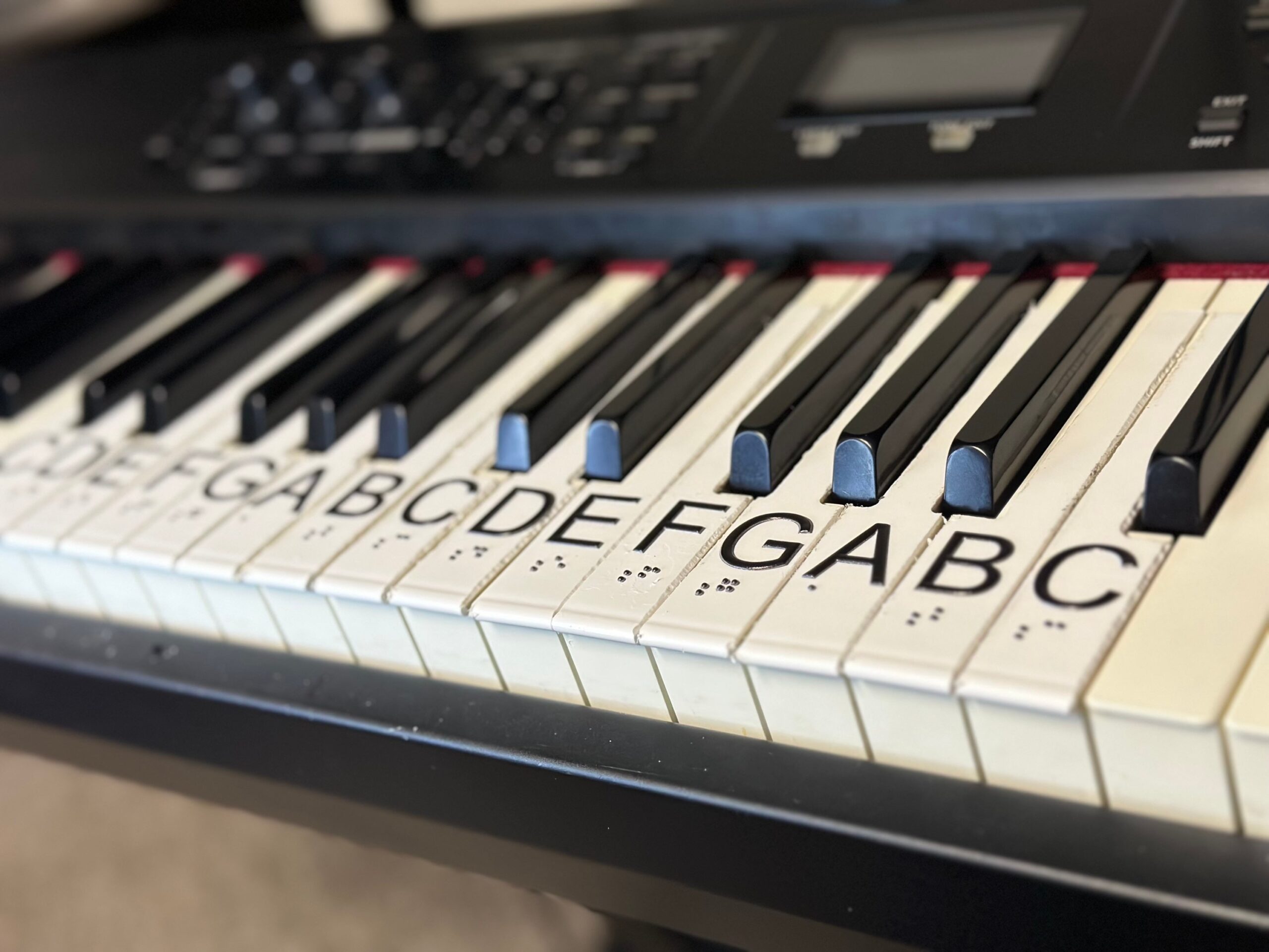 U-KEYS® Braille & Tactile Piano Key Overlays – 15-Key Educational Set - Image 4